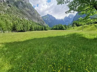 a field of green grass with mountains in the background at Idina domačija in Trenta