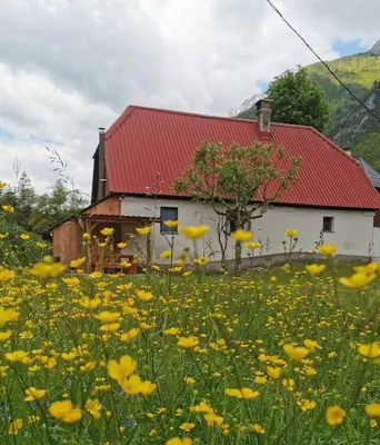 a field of flowers in front of a barn at Idina domačija in Trenta