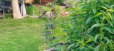 a garden with a garden implement in the grass at CAMP THEA, Glamping tent yurtas in Rose resort in Mrše