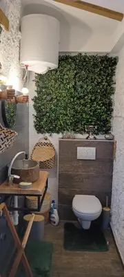 a bathroom with a toilet and a green wall at CAMP THEA, Glamping tent yurtas in Rose resort in Mrše