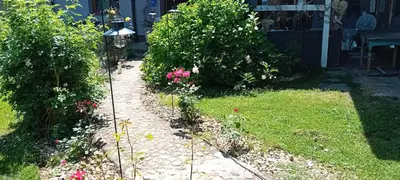 a garden with some pink flowers and bushes at CAMP THEA, Glamping tent yurtas in Rose resort in Mrše