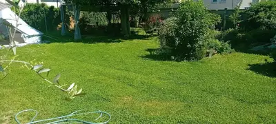 a yard with green grass and a fence at CAMP THEA, Glamping tent yurtas in Rose resort in Mrše