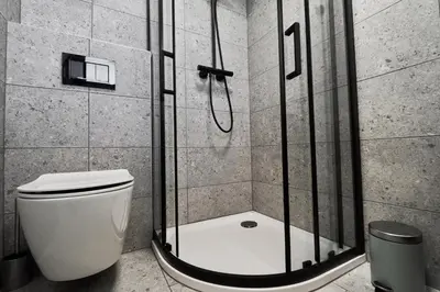 a shower in a bathroom with a toilet at Green Alpine Nest in Komenda