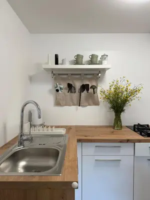 a kitchen with a sink and a counter at Mobile House LaSiesta Thermal park Terme 3000 in Moravske Toplice