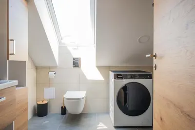 a bathroom with a washing machine and a toilet at Vila Jelena Gorje, Vintgar, Bled in Zgornje Gorje
