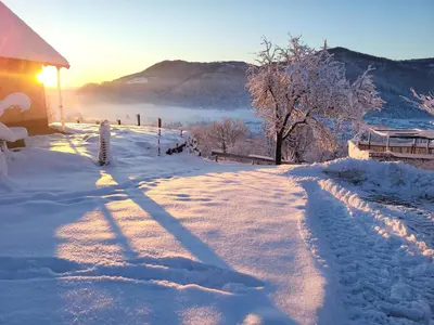 a snow covered road leading to a house with the sun setting at Apartma Angelika in Mozirje