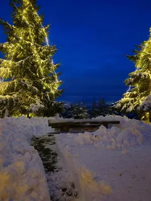 a picnic table in the snow with a christmas tree at apartma Pohorc - Kostanj in Pohorje