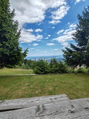 a view of a field of grass with a wooden bench at apartma Pohorc - Kostanj in Pohorje