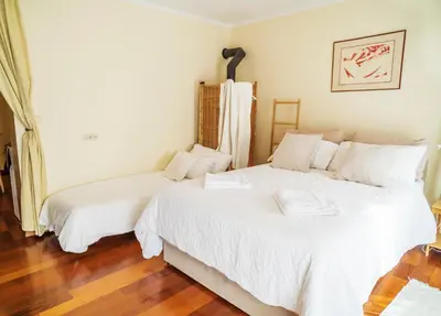 two beds sitting next to each other in a room at Hiša pri poetu in Šempeter pri Gorici
