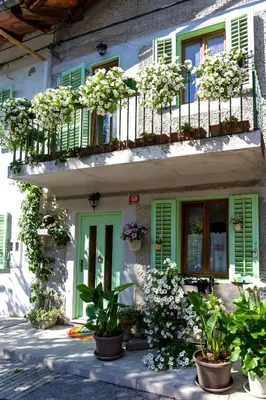 a building with green shutters and potted plants at Hiša pri poetu in Šempeter pri Gorici