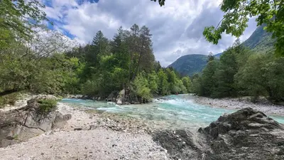 a river in the middle of a mountain with trees at Apartment Stella with Two Bedrooms & Free Parking Spot in Bovec