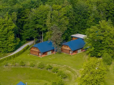 an overhead view of a house with blue roofs at Posestvo Pule Equestrian Estate in Trebelno
