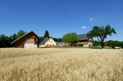 a field of wheat in front of a barn at Posestvo Pule Equestrian Estate in Trebelno