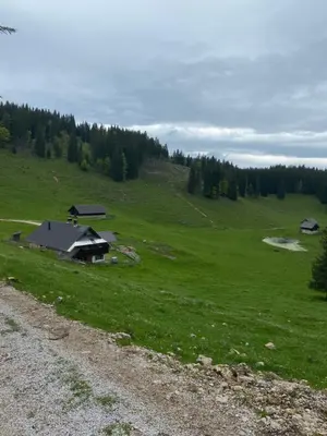 a large green field with a house on a hill at Koča na Kranjski dolini Krnica 93 a,Pokljuka in Zgornje Gorje