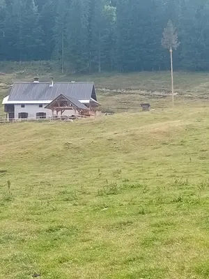 a barn in the middle of a grass field at Koča na Kranjski dolini Krnica 93 a,Pokljuka in Zgornje Gorje