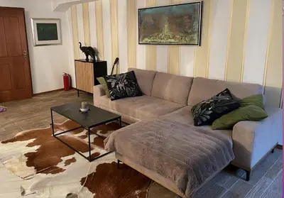 a living room with a couch and a cat on a wall at Art apartment Kranj in Kranj