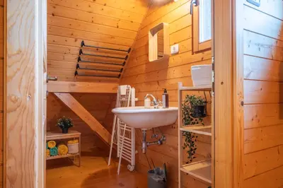 a bathroom with a sink and a wooden wall at Chalet Guapa in Bohinj