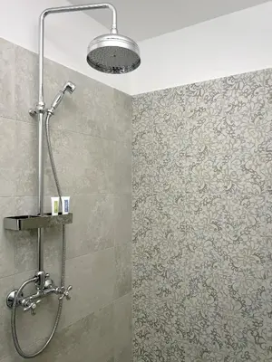 a shower in a bathroom with a wall at Prosciutto Kingdom - Kraljestvo pršuta by Pršutarna Ščuka in Štanjel