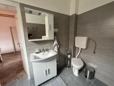 a bathroom with a sink and a toilet at Apartma Pri Kosu in Slovenska Bistrica