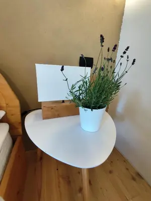 a white table with a potted plant on it at Naravna lesena hiša v naravi z lastnim vrtom in Ig