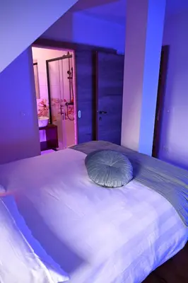 a bed with a pillow on it in a room at Sobe in apartma Portus in Rakek