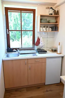 a kitchen with a sink and a window at Sobe in apartma Portus in Rakek