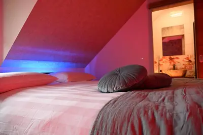 a bedroom with a bed with pink and purple walls at Sobe in apartma Portus in Rakek