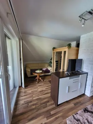 a living room with a couch and a television at Relax Room Bohinjska Bistrica in Bohinj