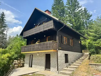 a house with a black roof and stairs at Hiša Jelka in Kranjska Gora