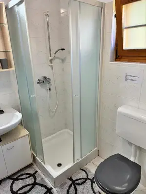 a bathroom with a shower with a toilet and a sink at Hiša Jelka in Kranjska Gora