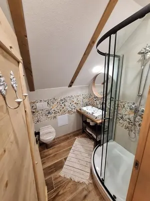 a bathroom with a shower and a toilet and a sink at Škedenj pri Vili Trate in Križevci pri Ljutomeru