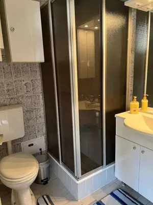 a bathroom with a shower and a toilet and a sink at Apartma Bučko in Bohinj