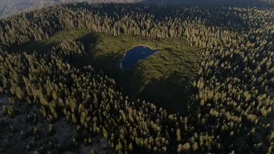 an island in the middle of a forest of trees at Peak & Pause in Bistrica pri Limbušu