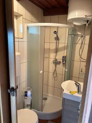 a bathroom with a shower and a toilet and a sink at Apartment Haloze in Videm pri Ptuju