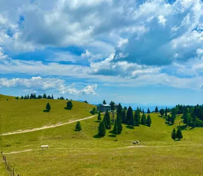 Gallery image of DOMŽALSKI DOM na Veliki Planini in Stahovica