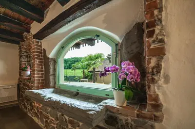 a window with a vase with purple flowers in it at House Dorče in Kojsko