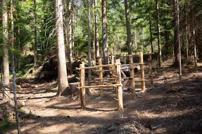 a wooden gate in the middle of a forest at Turistična Kmetija Zgornji Zavratnik in Luče