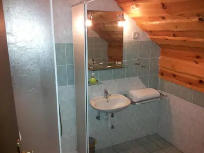 a bathroom with a sink and a shower at Turistična Kmetija Zgornji Zavratnik in Luče