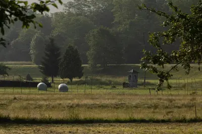 two sheep grazing in a field with a fence at Telaj Residence - Cosy Cabins near Bovec, Soča Valley in Bovec