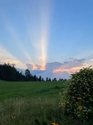 a rainbow in the sky over a green field at Eko kmetija Sen na Zgornji Kapli in Zgornja Kapla
