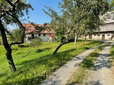 a dirt road in a field with trees and a house at Eko kmetija Sen na Zgornji Kapli in Zgornja Kapla
