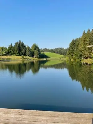a view of a lake with trees in the background at Eko kmetija Sen na Zgornji Kapli in Zgornja Kapla