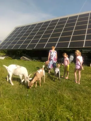 a group of children and goats in front of a solarium at Tubej apartments in Bohinj
