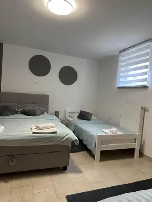 a bedroom with two beds and a window at Apartments Dani in Postojna