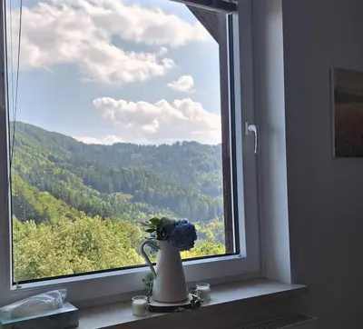 a flower in a vase sitting in a window at Apartma Saint Thomas in Selca