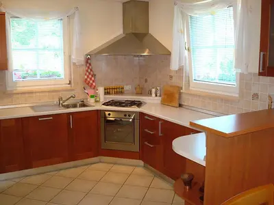 a kitchen with a sink and a stove top oven at Apartment Kotnik in Kamnik