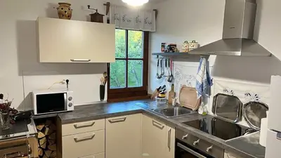 a kitchen with a sink and a microwave at Apartment Olga