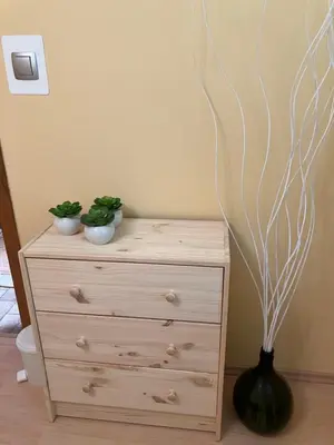 a dresser with two potted plants on top of it at Kozjanski odklop in Buče