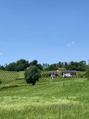 a field of green grass with a house in the background at Kozjanski odklop in Buče