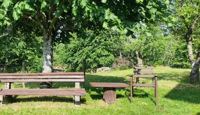 two park benches and a picnic table in a park at Apartma Dajana in Lokve